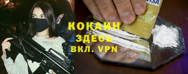 мдпв Богданович