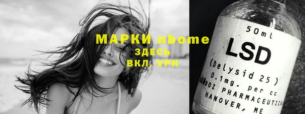 мдпв Богданович