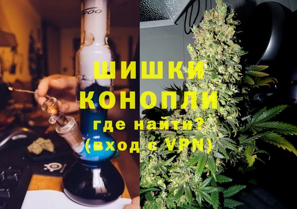 мдпв Богданович