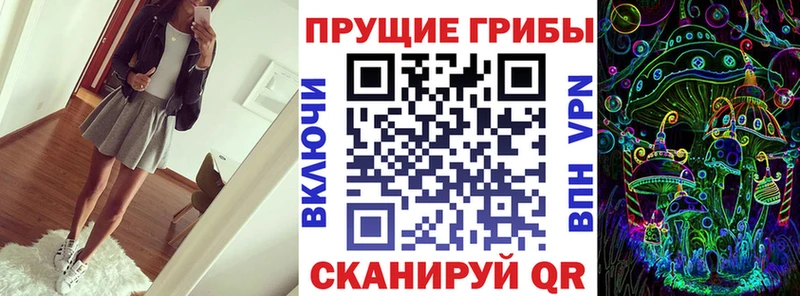 хочу   Бокситогорск  Псилоцибиновые грибы мицелий 
